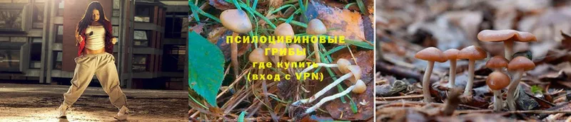 Галлюциногенные грибы Magic Shrooms  купить закладку  Партизанск 